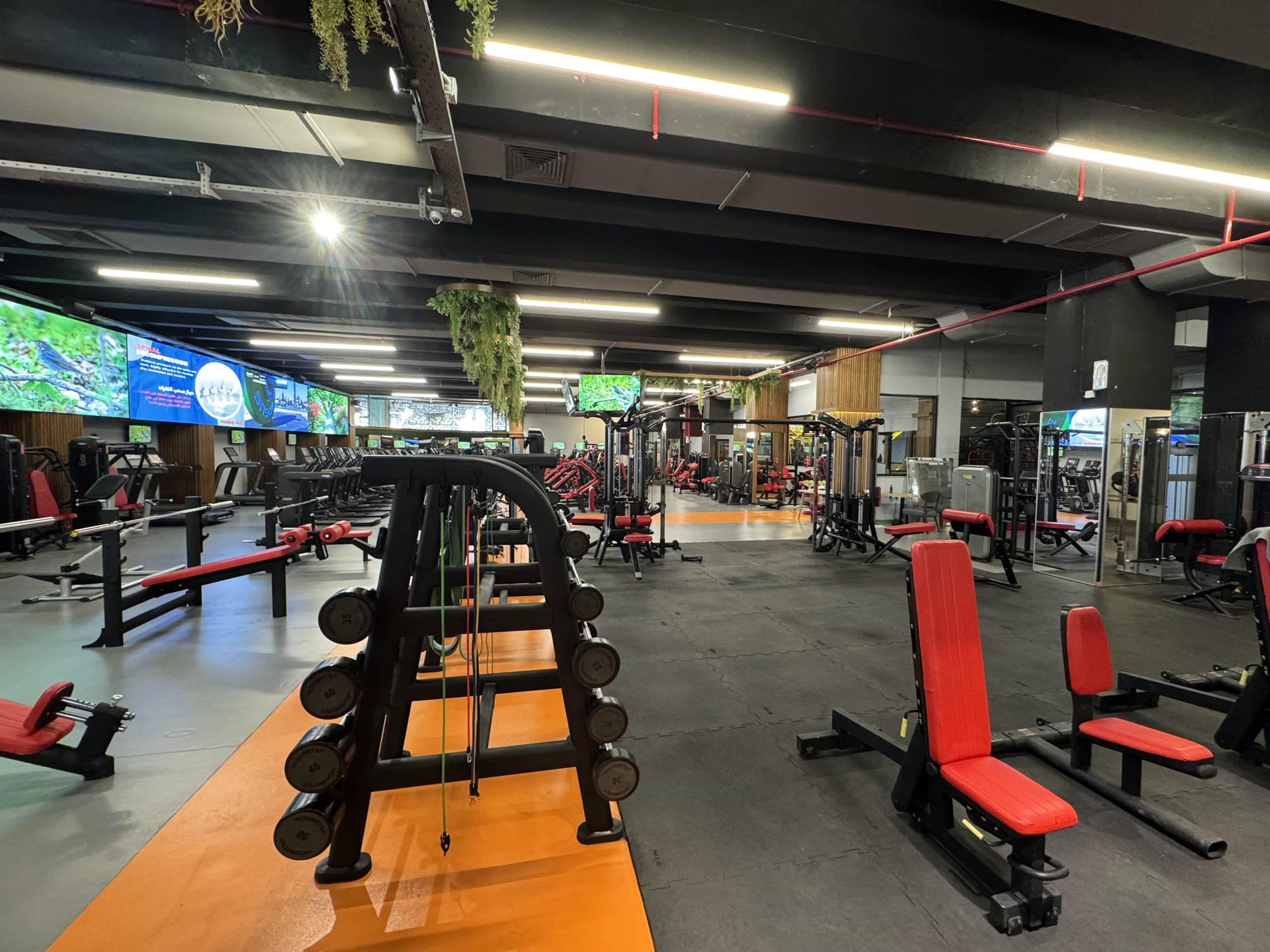 The gym floor at Family Sport Center: an orange runway between rows of red Panatta machines